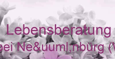 Lebensberatung Schömberg bei Neünbürg (Württemberg) | Top-Experten für Kartenlegen, Wahrsagen, Hellsehen, Zukunftsdeutung.